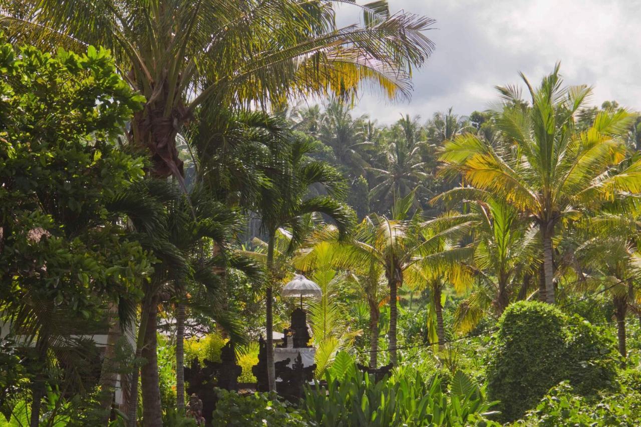 Dalem Surf Retreat *