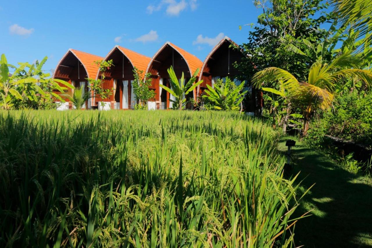 Holiday park Surf Camp 2*