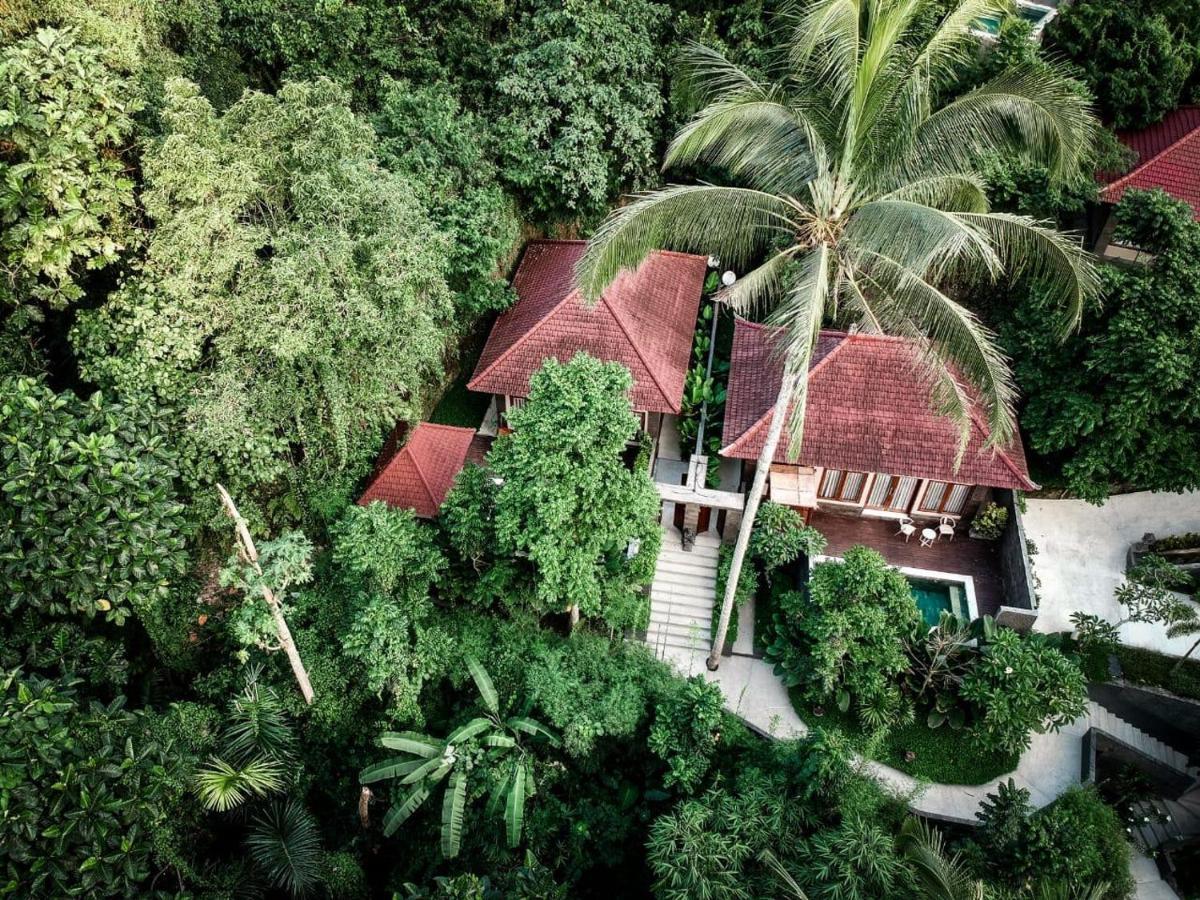 Ubud Hills & Tegallalang (Bali)