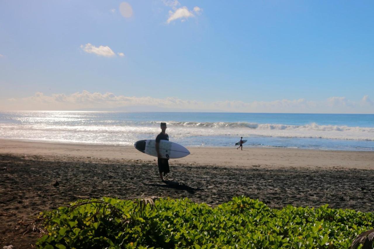 Surf Camp 2*