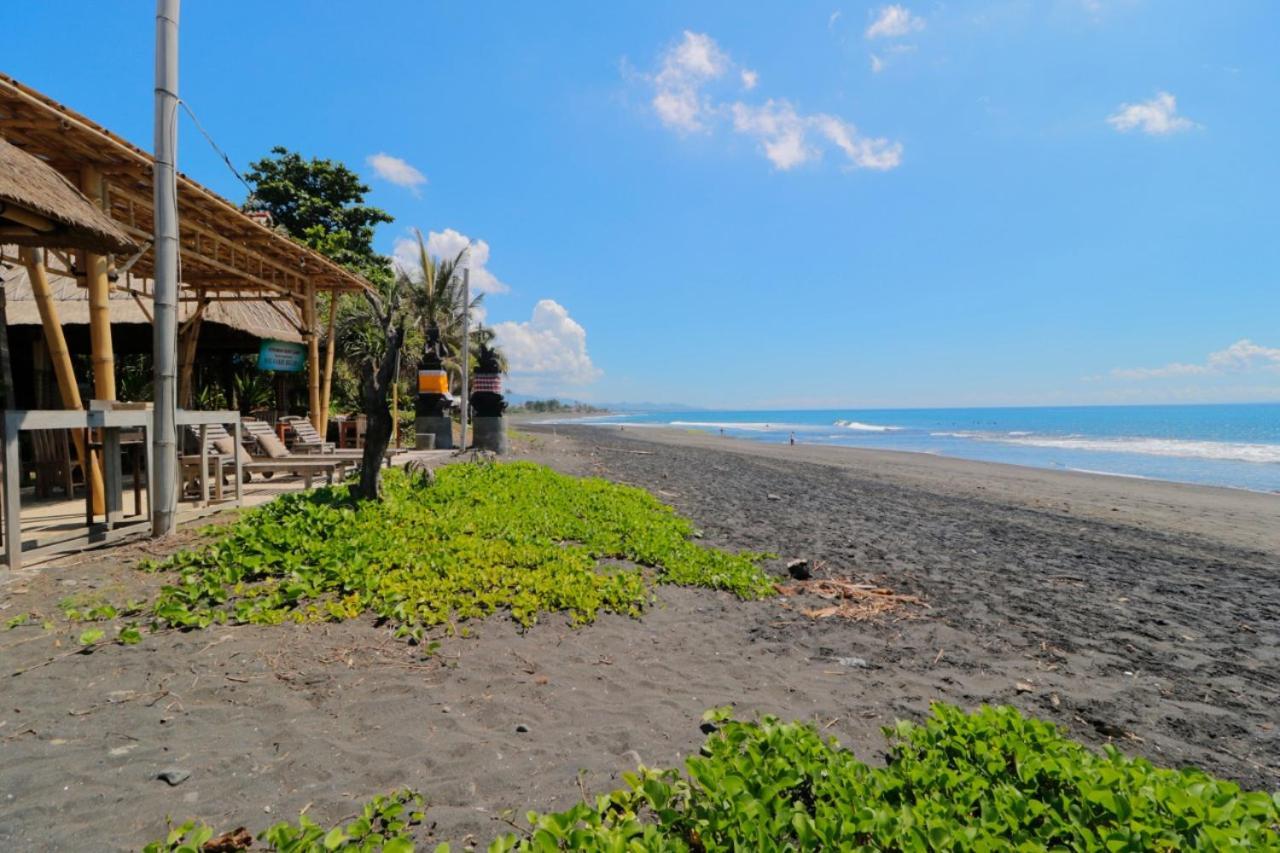 Surf Camp Keramas