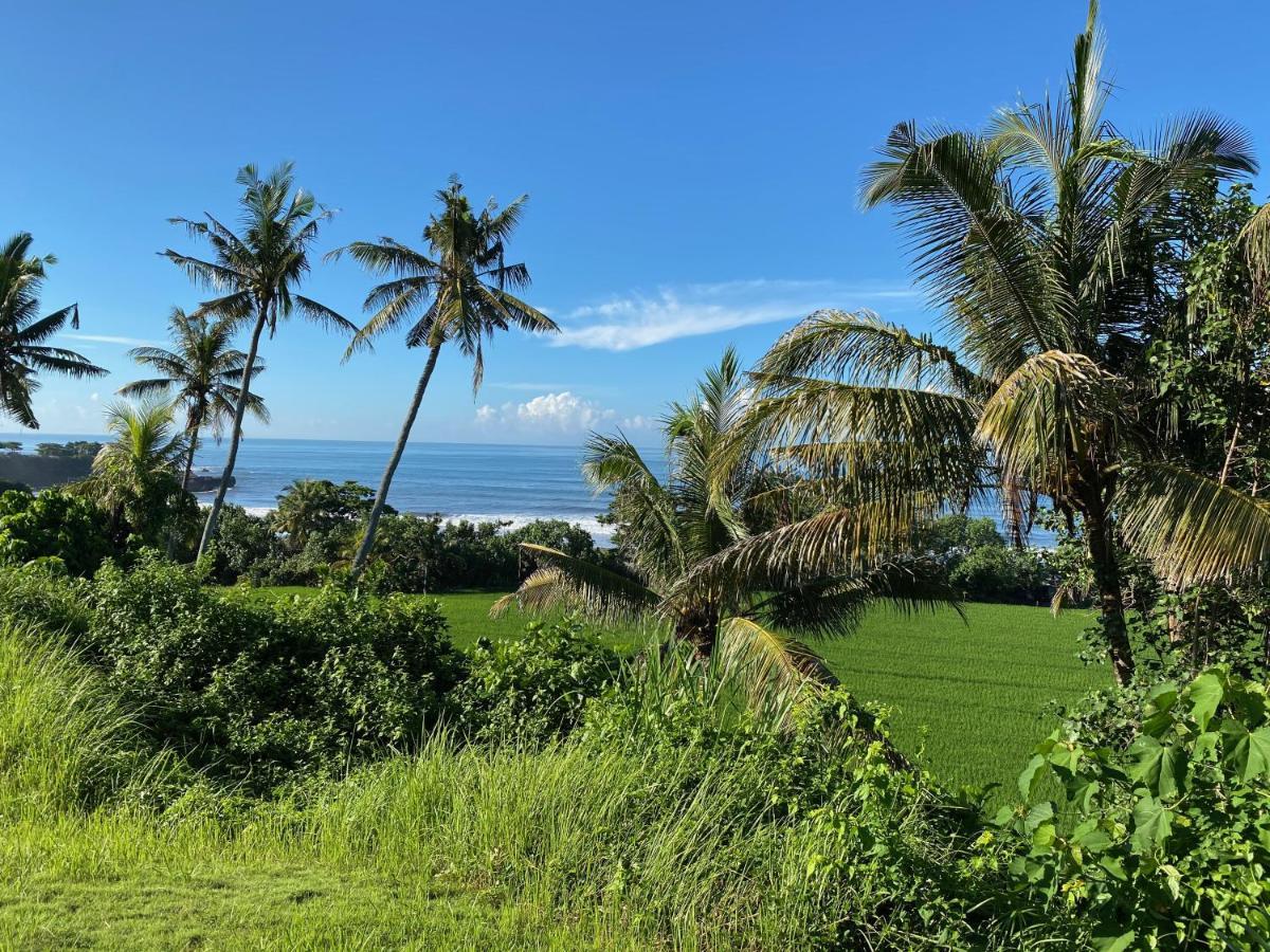Balian Prana Guest house