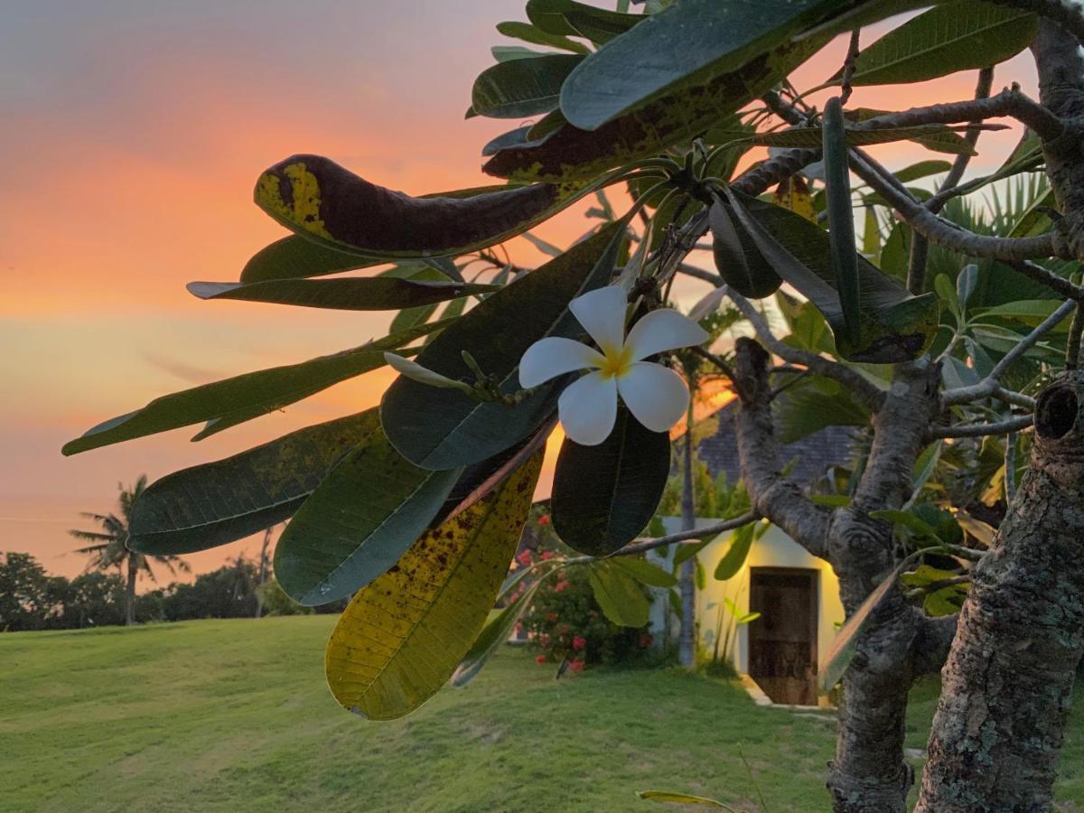 Guest house Balian Prana