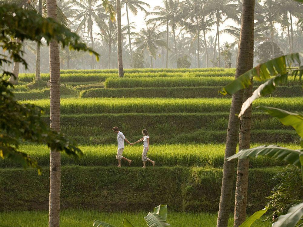 Kamandalu Resort Ubud (Bali)