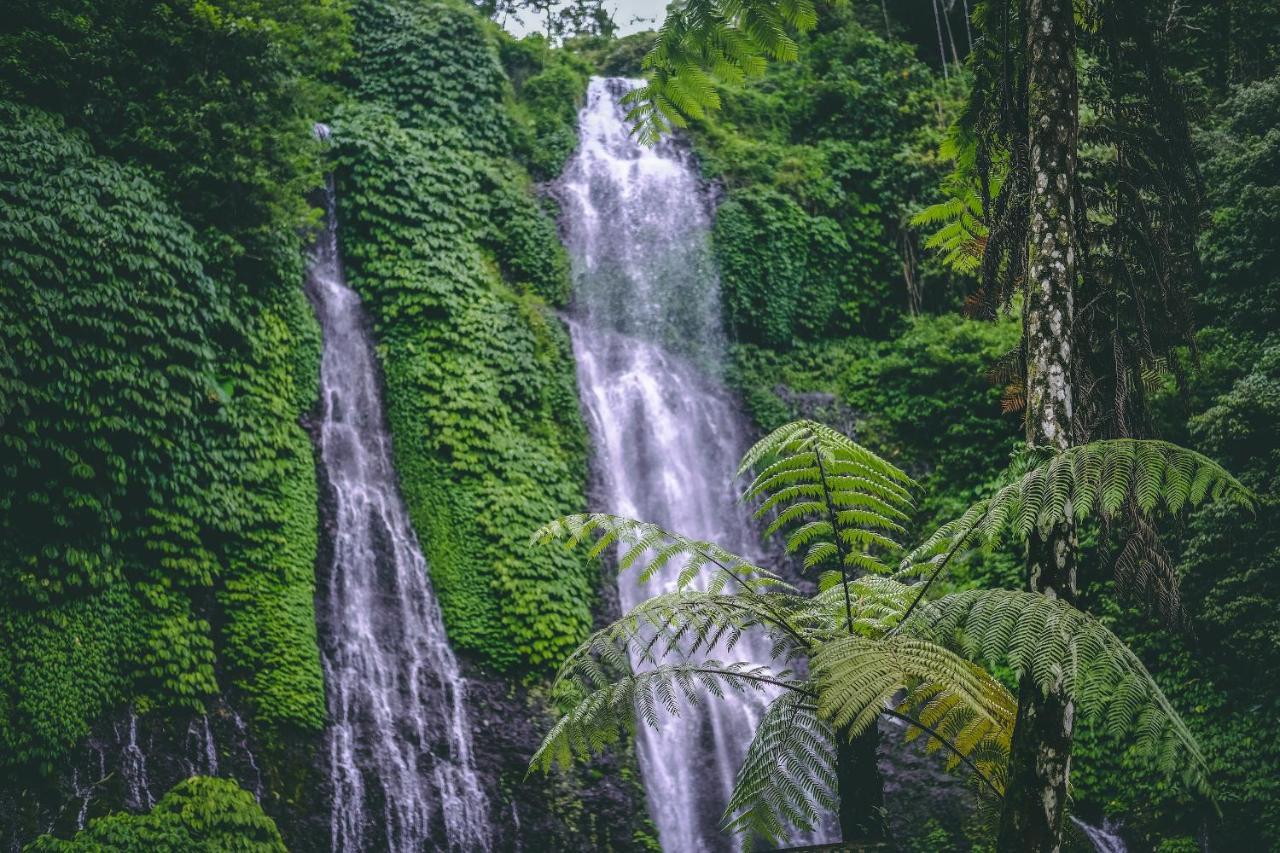 Desa Eko 3* Munduk (Bali)