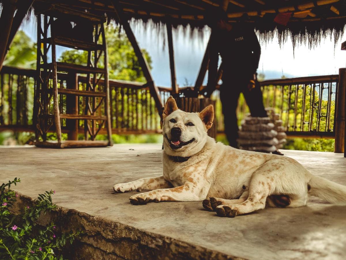 Holiday park Desa Eko Munduk (Bali)