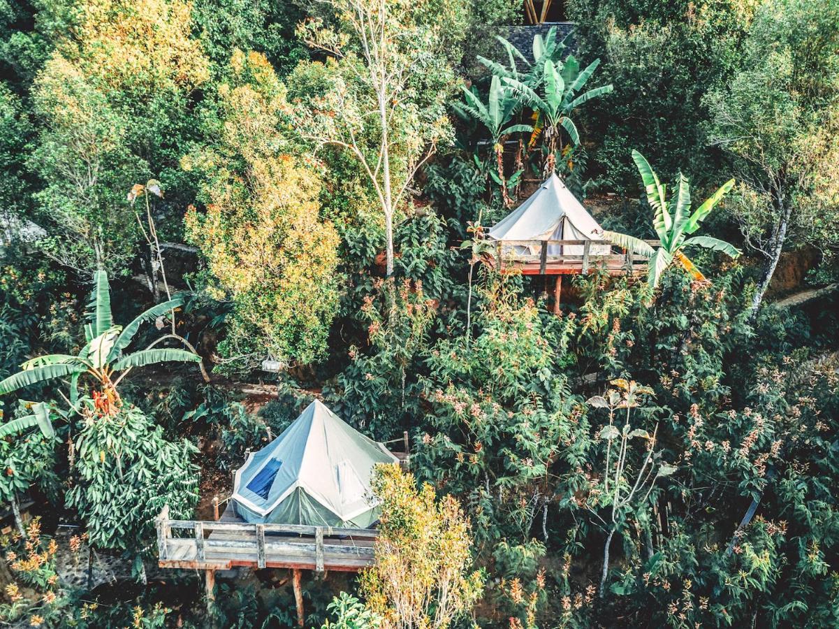 Desa Eko 3* Munduk (Bali)