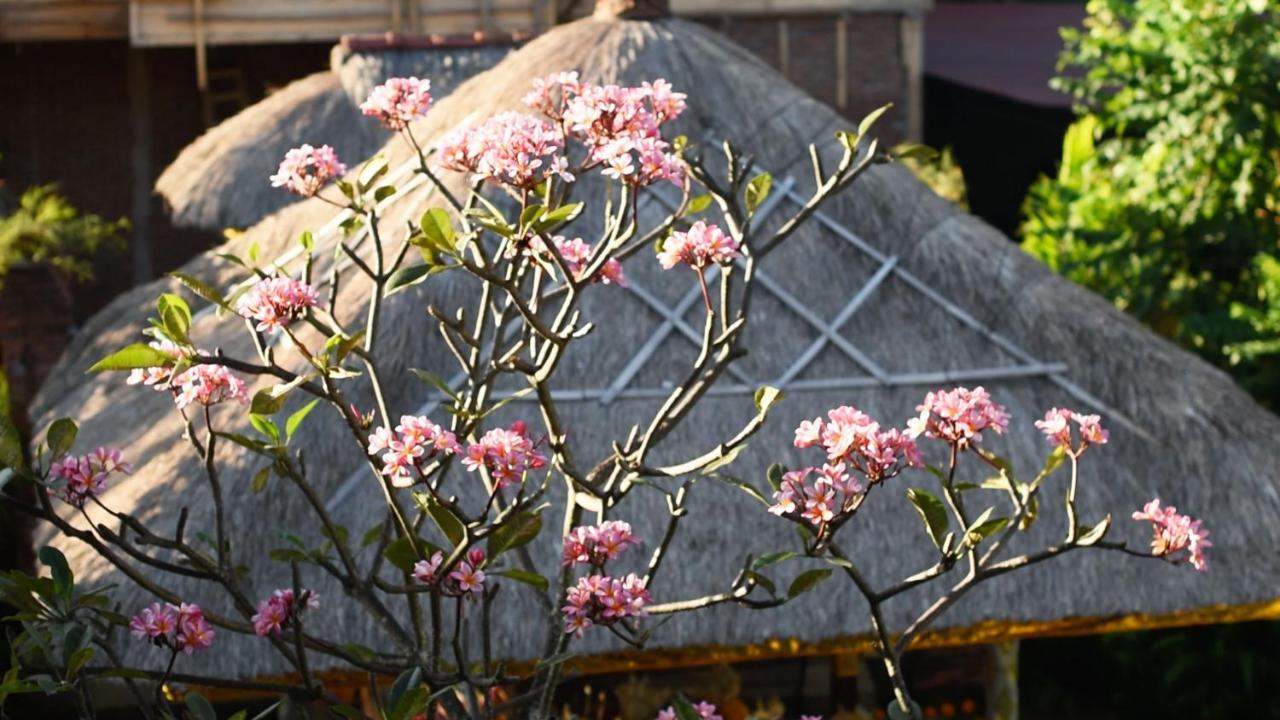 Manzelejepun & Pavilion Hotel Sanur (Bali)