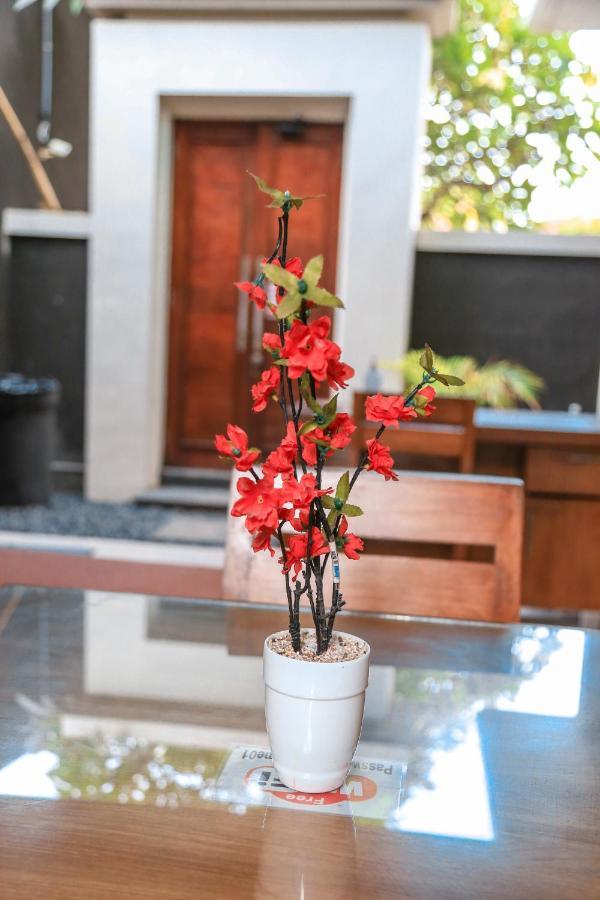 Alia Guest house