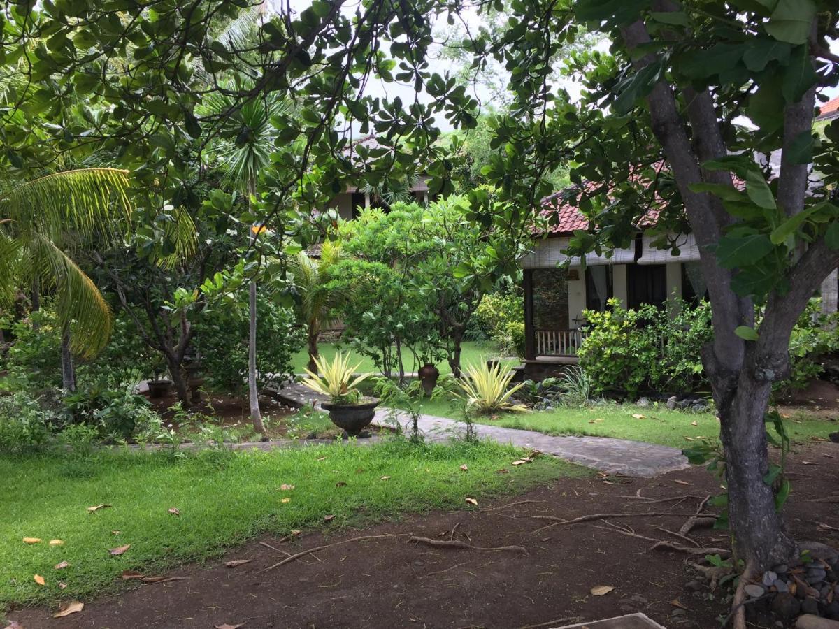 Jukung Bali Amed (Bali)