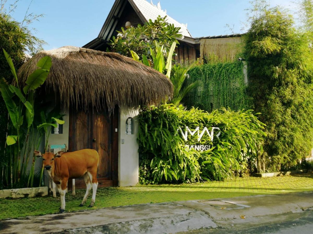 Hotel Amar Boutique