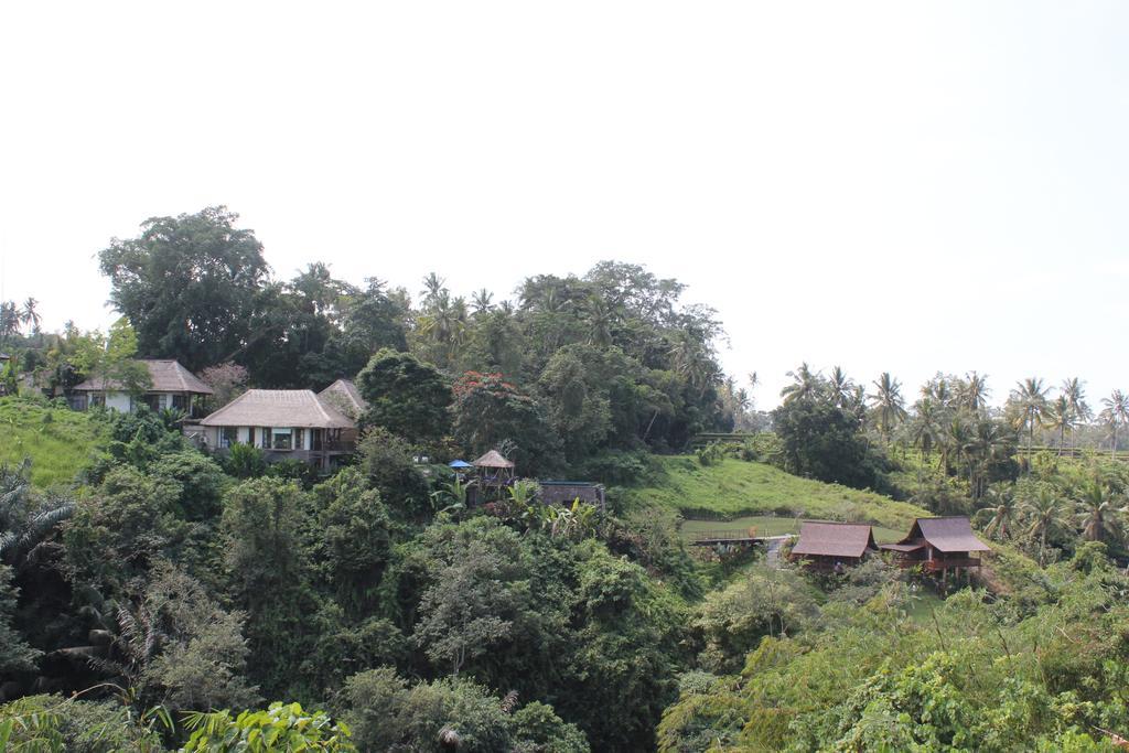 Amori 4* Ubud (Bali)