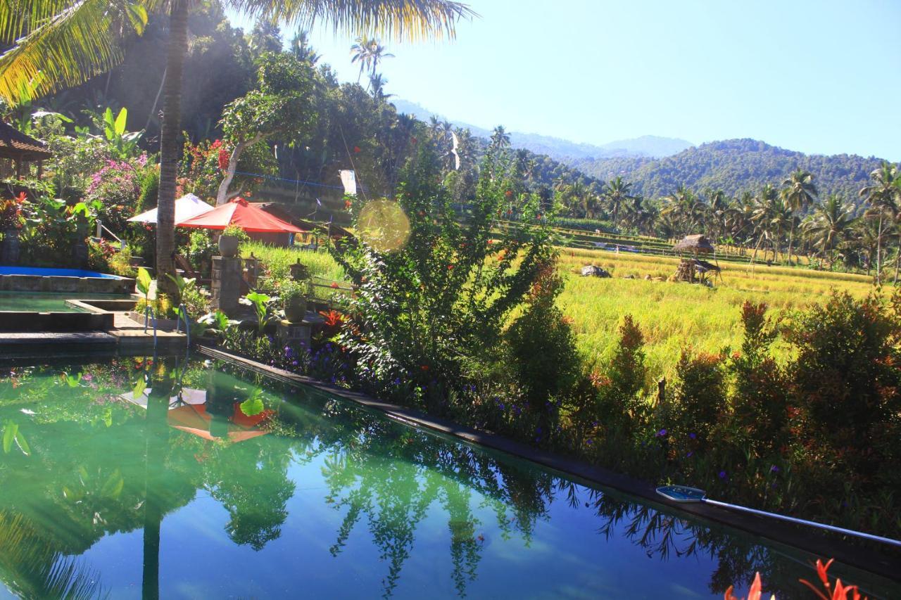 Amartya Puri Munduk (Bali)