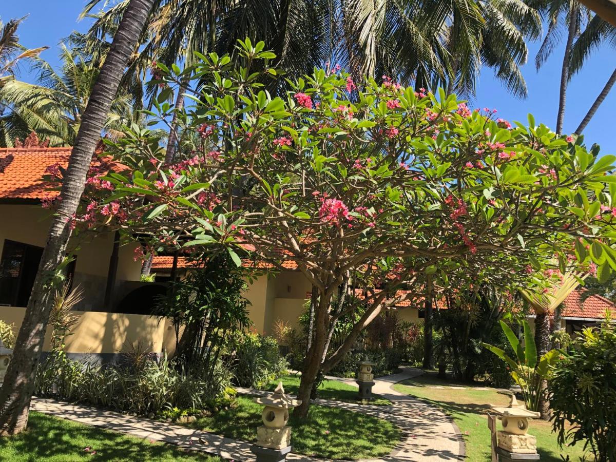 Hotel Teluk Karang Dive & Tejakula