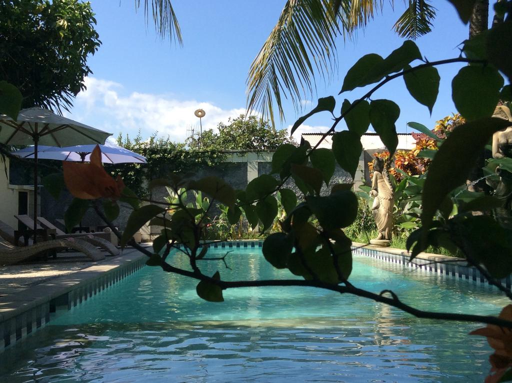 Bali Guest
