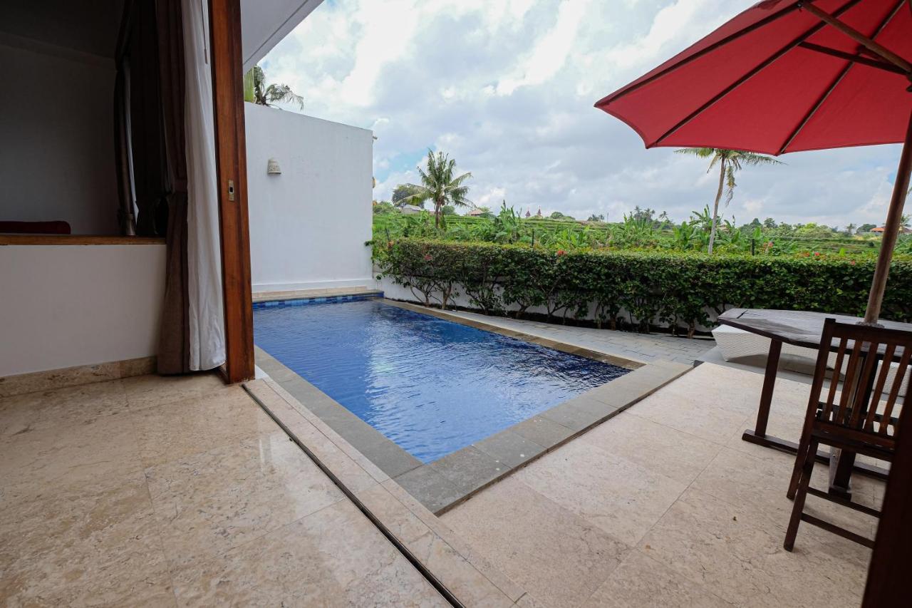 Umah Cincin Villa Canggu (Bali)