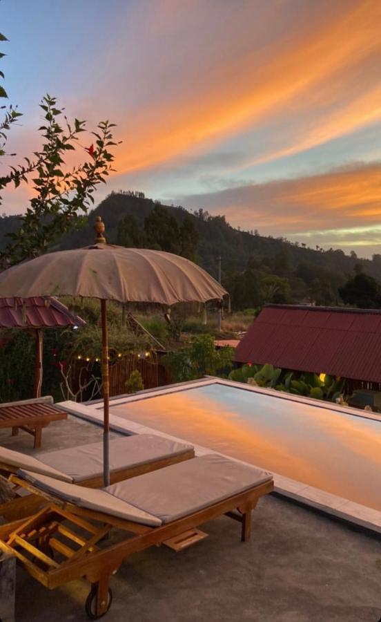 Bukit Catu * Kintamani (Bali)