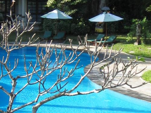 Desa Nusa Dua Hotel