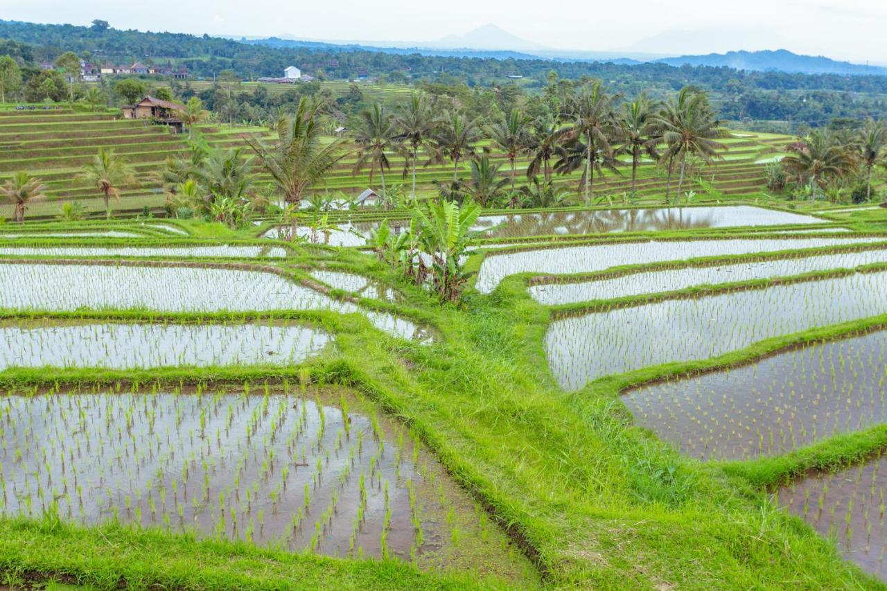 Bhuana Agung Villa&restaurant By Ecommerceloka Tempat Tidur & Sarapan