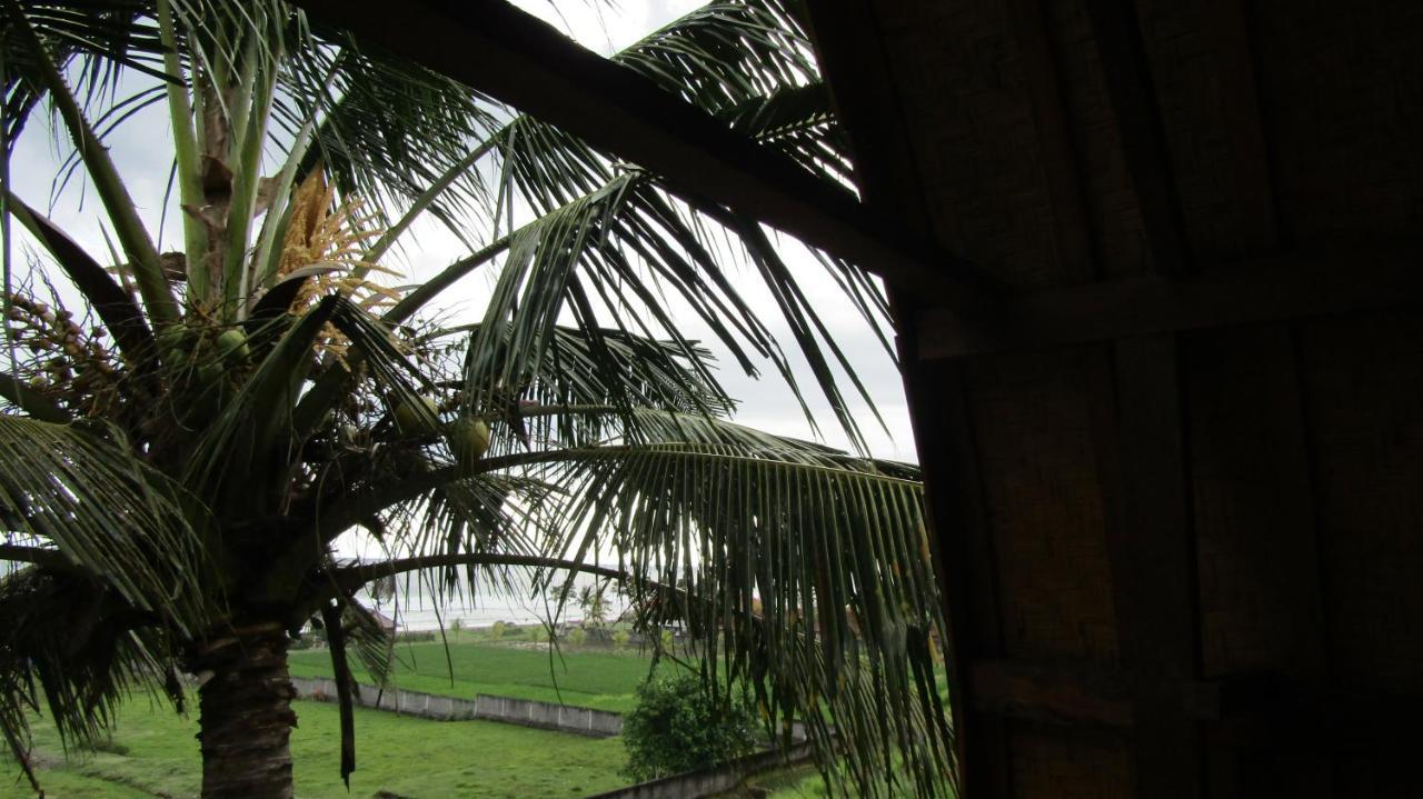 Dikaloha Surfschool And Guest house *
