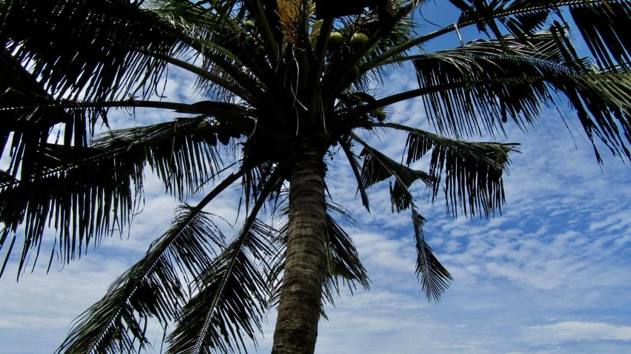 Dikaloha Surfschool And Airsatang