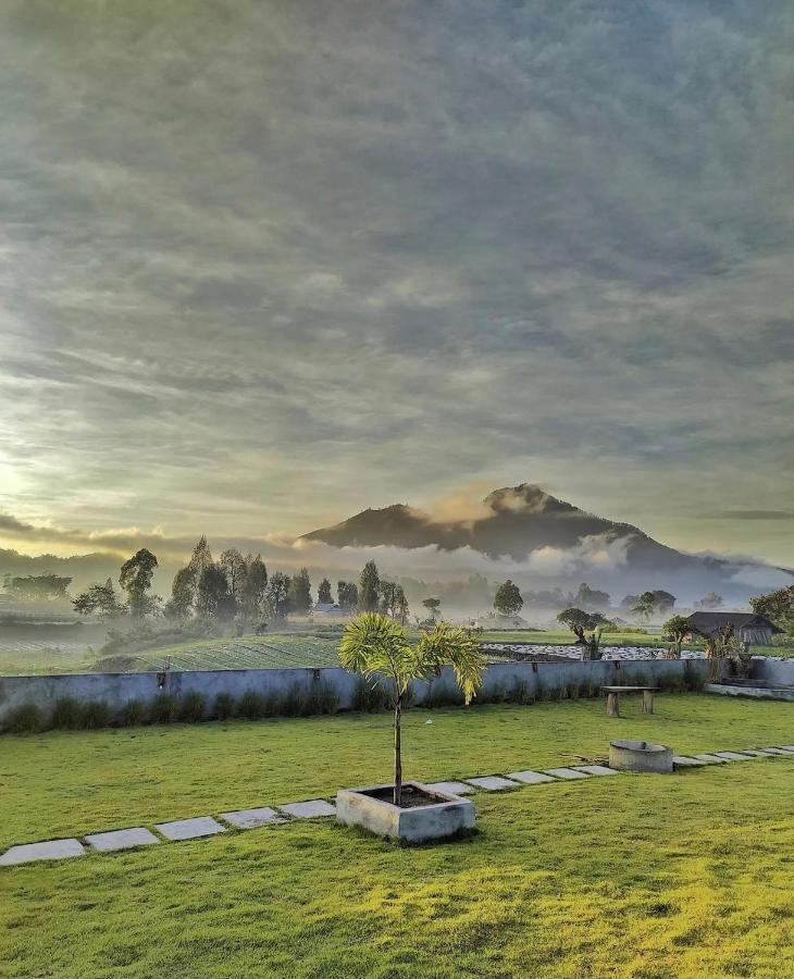 Bukit Catu * Kintamani (Bali)