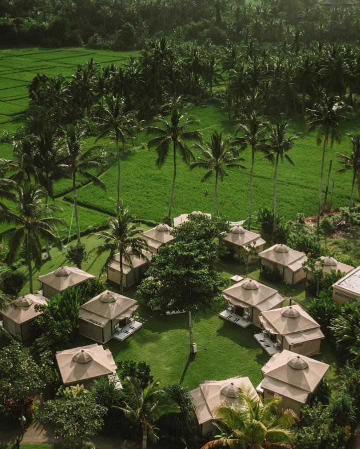 Bali Glamping 4*