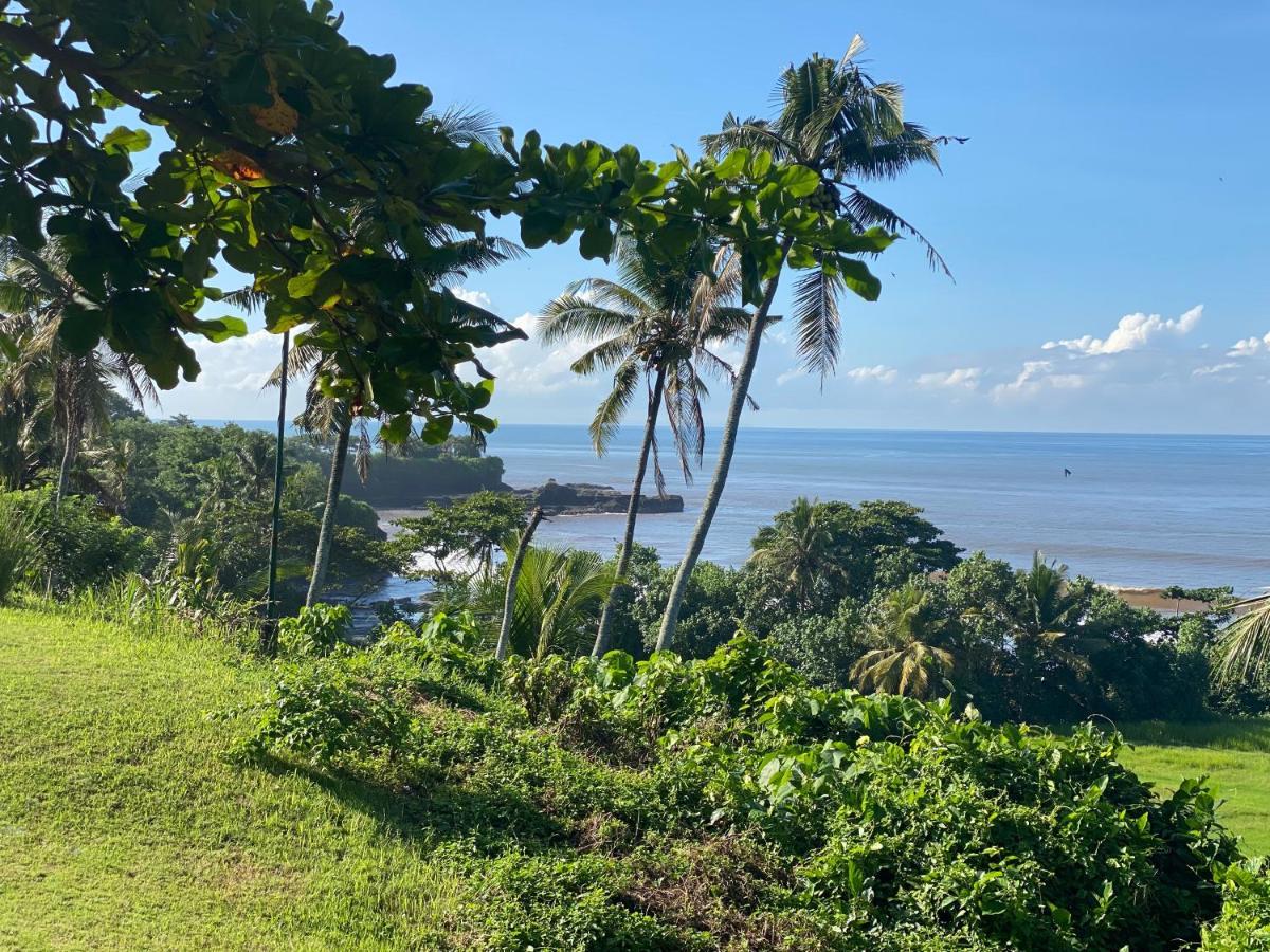 Balian Prana Selemadeg (Bali)