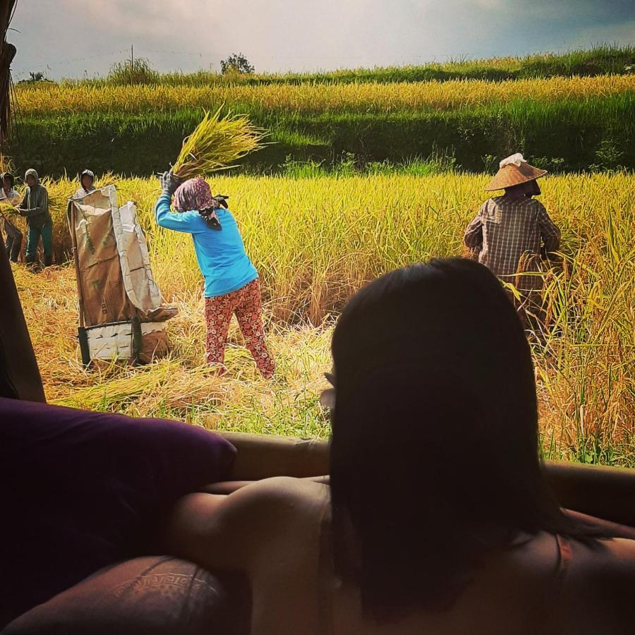 Batan Nyuh Retreat