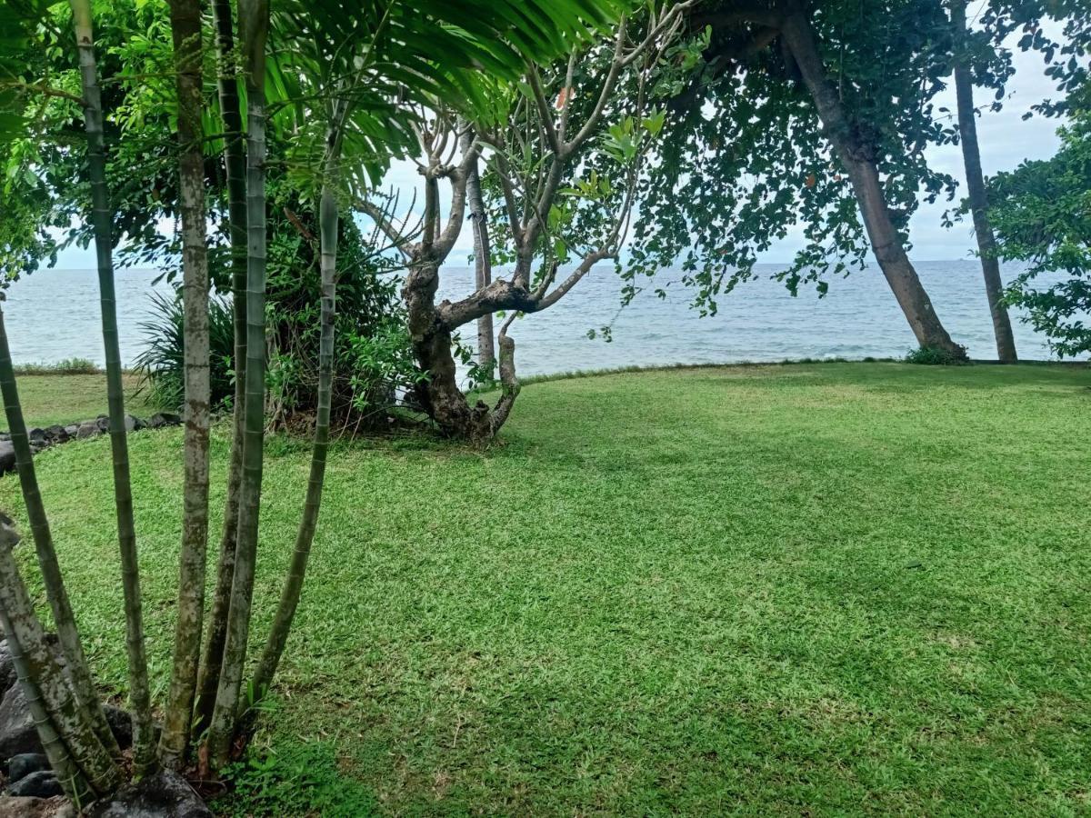 Palm Bali *