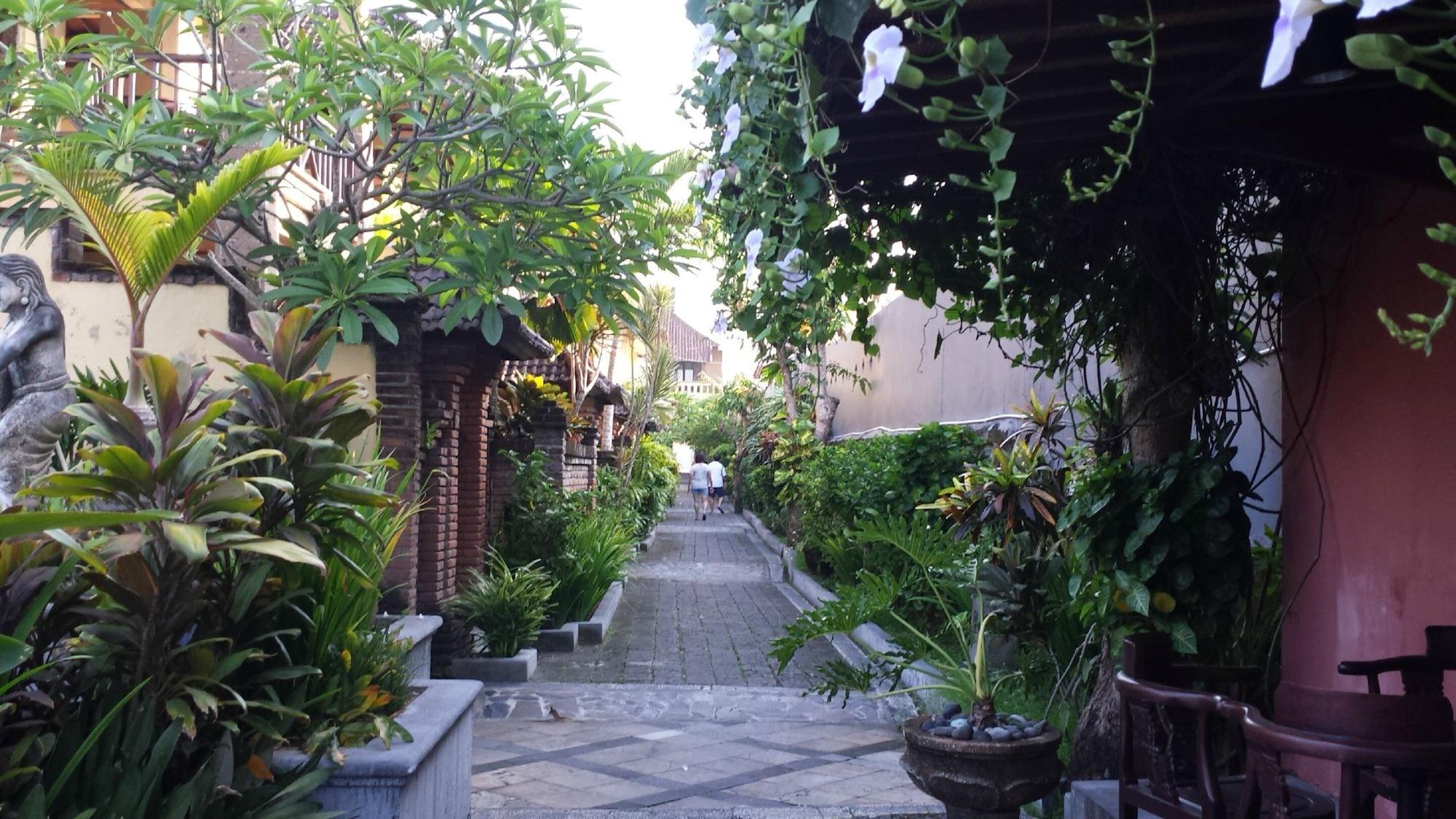 Bali Ayu & Kuta (Bali)