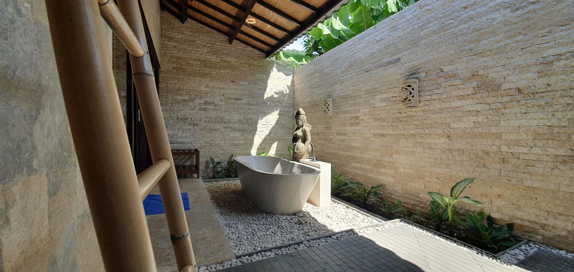 Coral View 3* Amed (Bali)