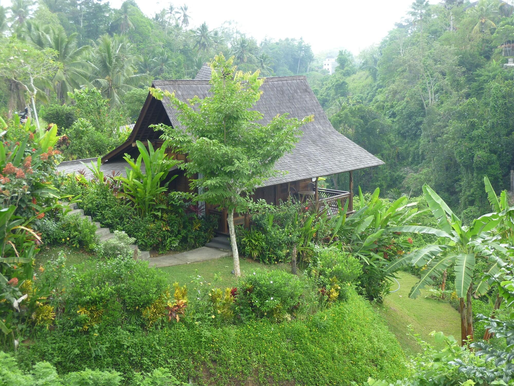 Amori 4* Ubud (Bali)