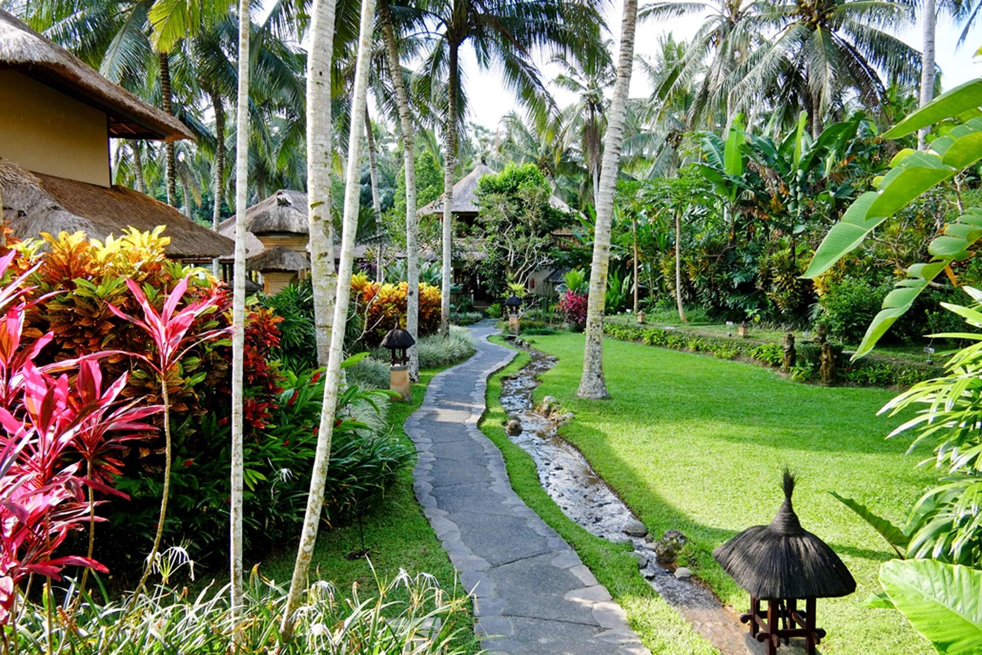 Semana * Ubud (Bali)