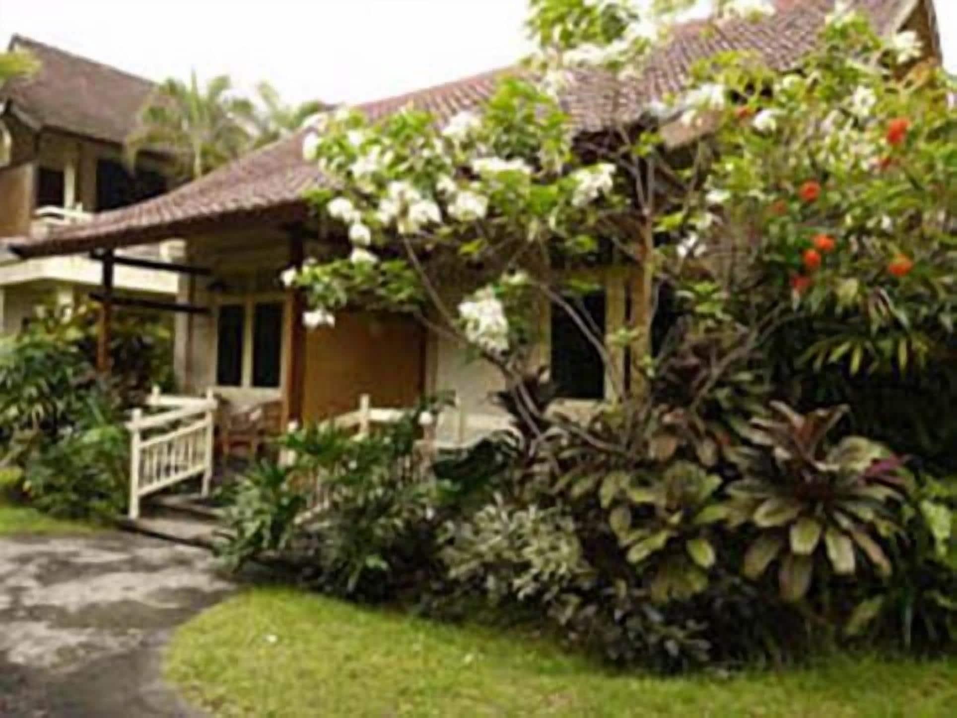 Bali Lovina Hotel 3*