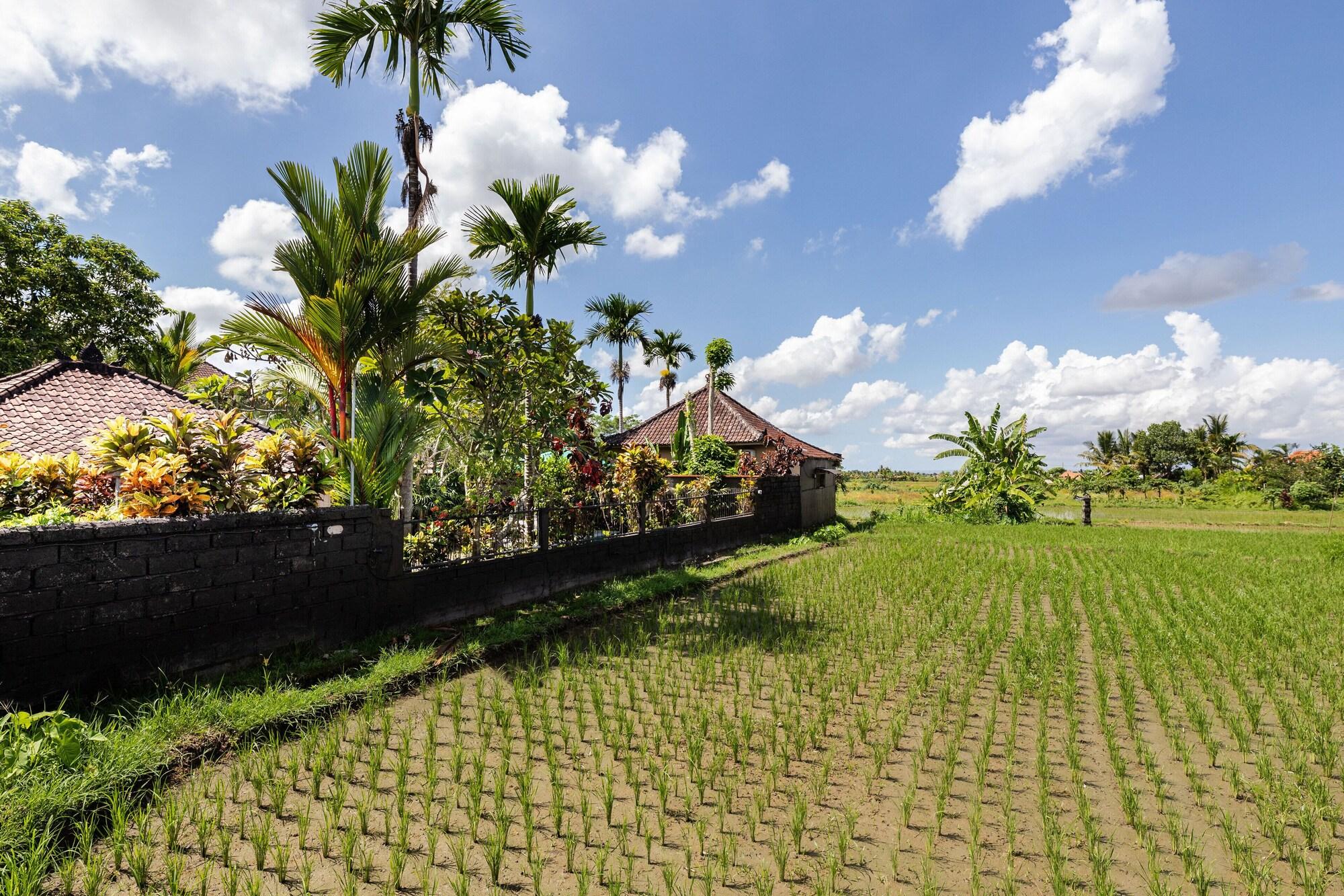 Devi's Place Taman liburan 2*