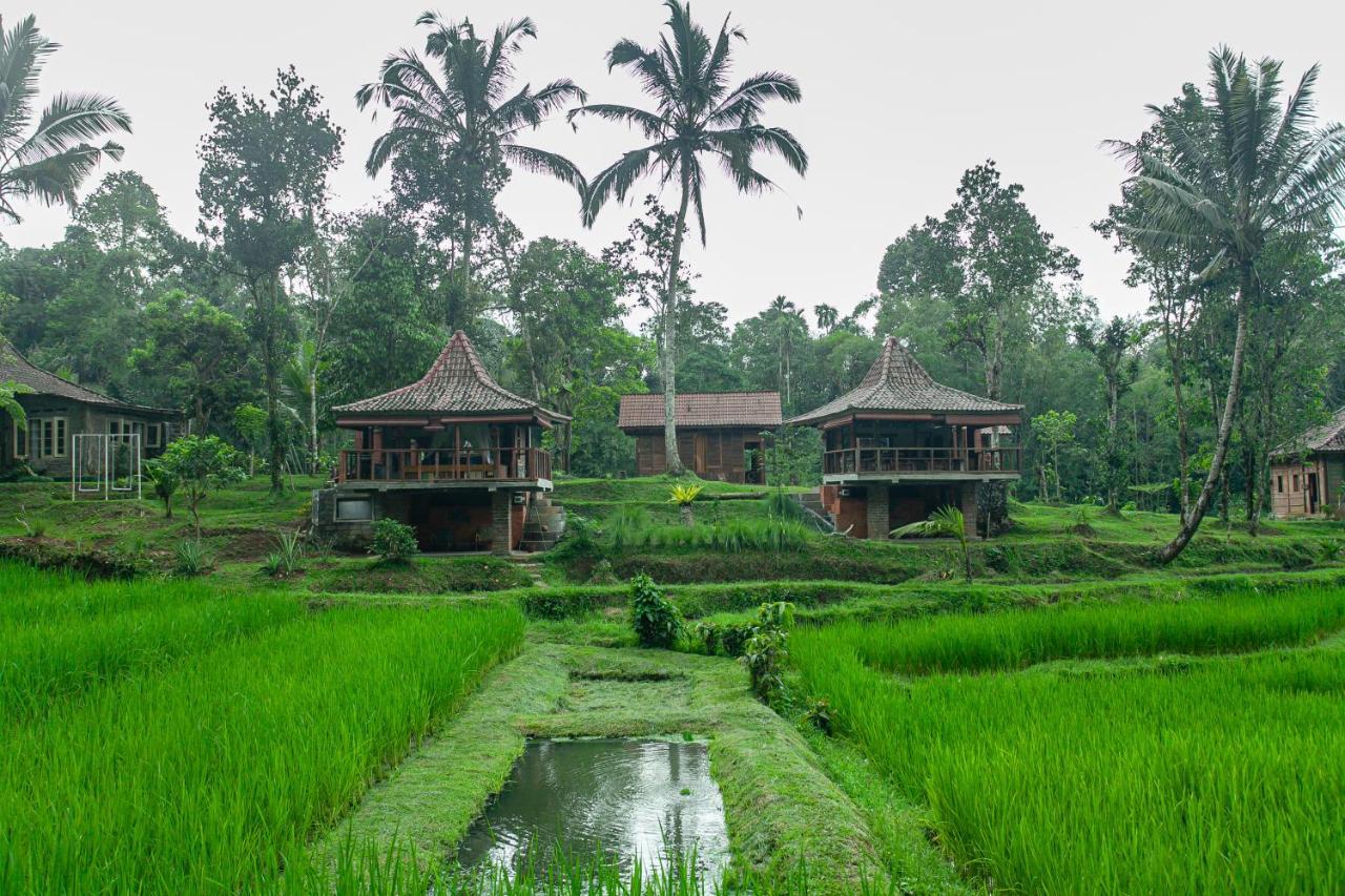Tepi Sawah & Retreat Holiday park