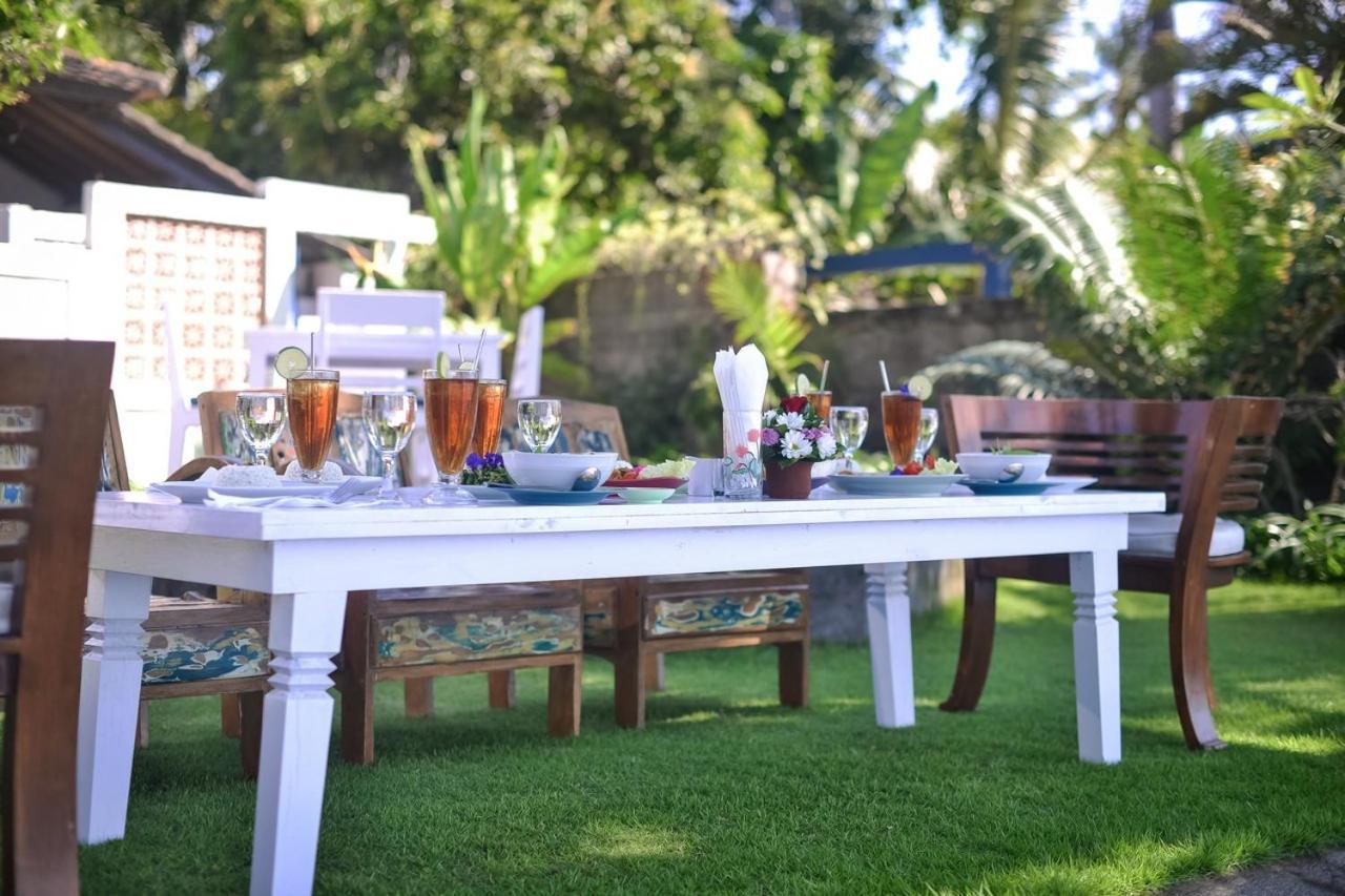 Guest house Mojito