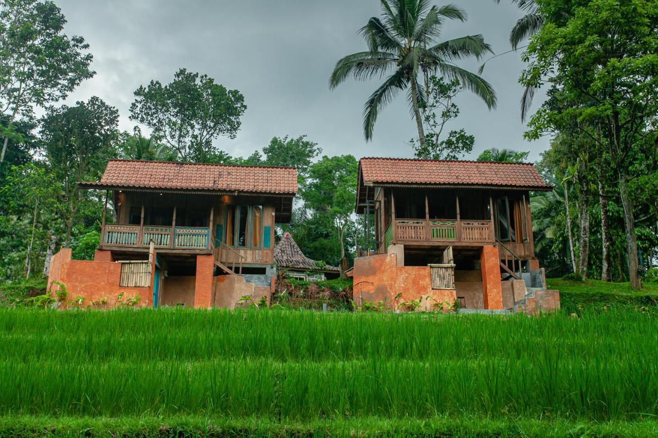 Tepi Sawah & Retreat Holiday park
