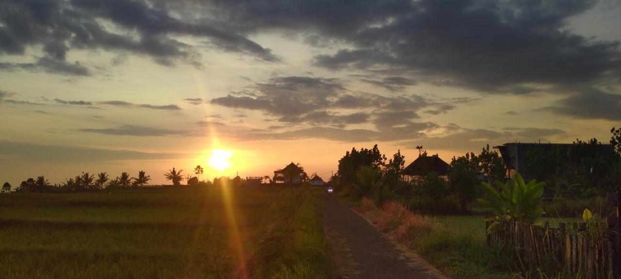 Ayolah Surf House &surf Camp Jembrana (Bali)