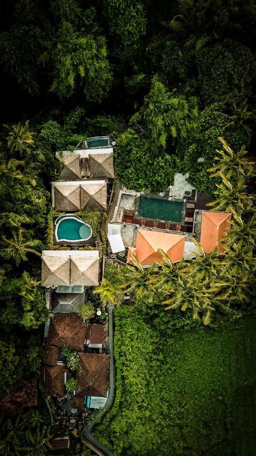 Hotel The Pari Sudha Ubud (Bali)