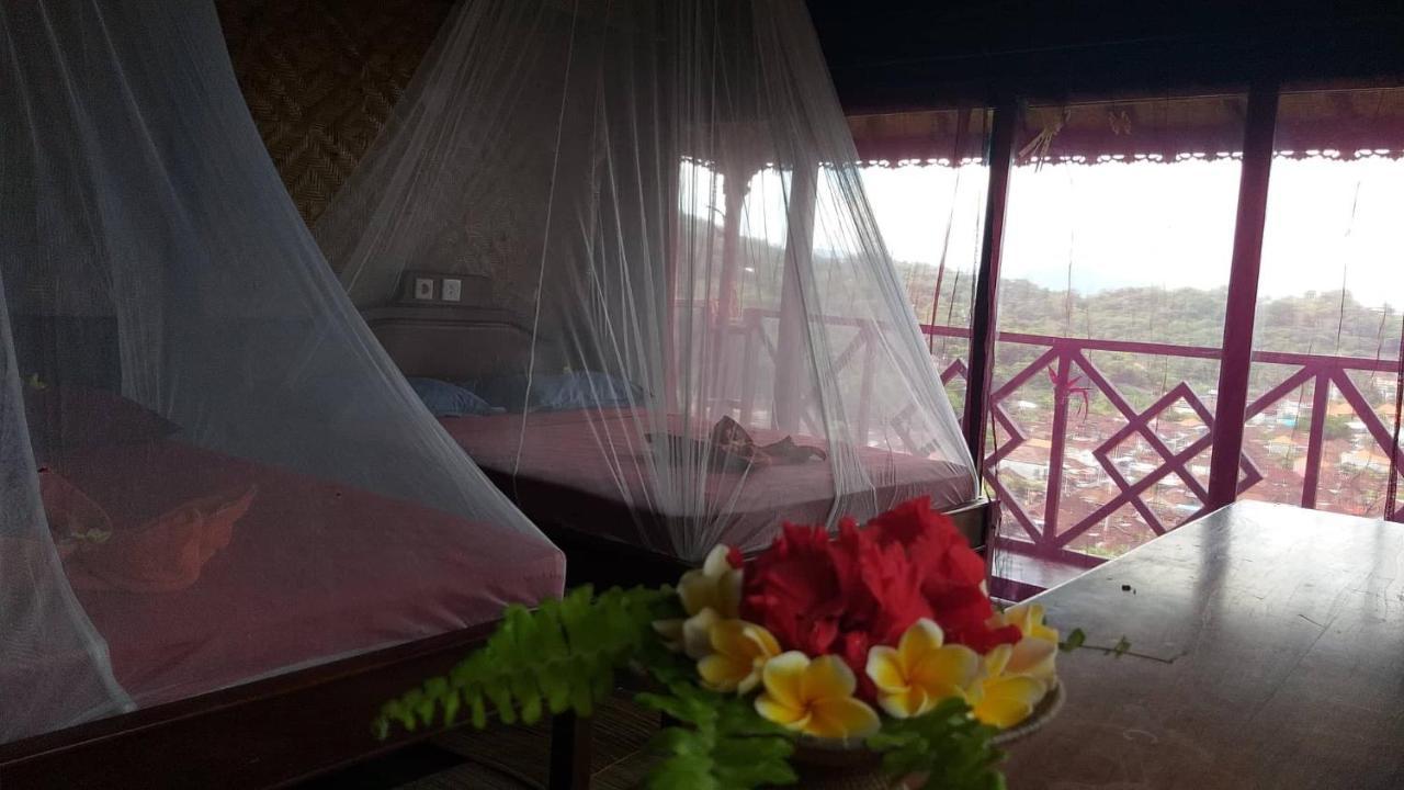 Manouria - Marcel Guest house Padangbai (Bali)