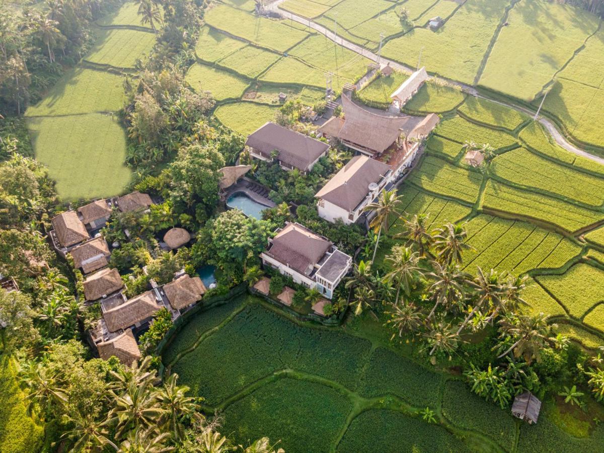 The Sun Of Granary And Ubud (Bali)