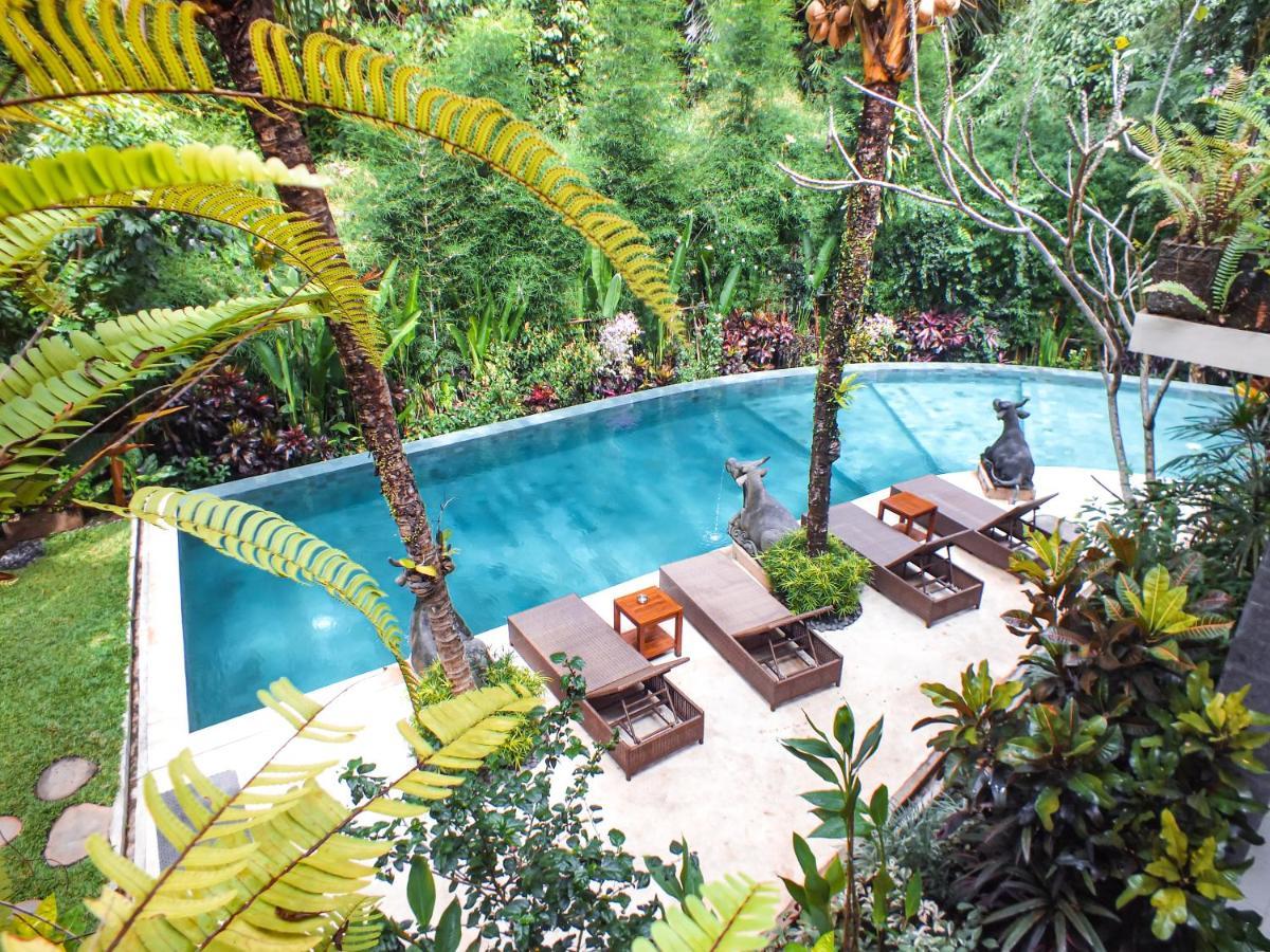 Guest house Jungle Haven 3*