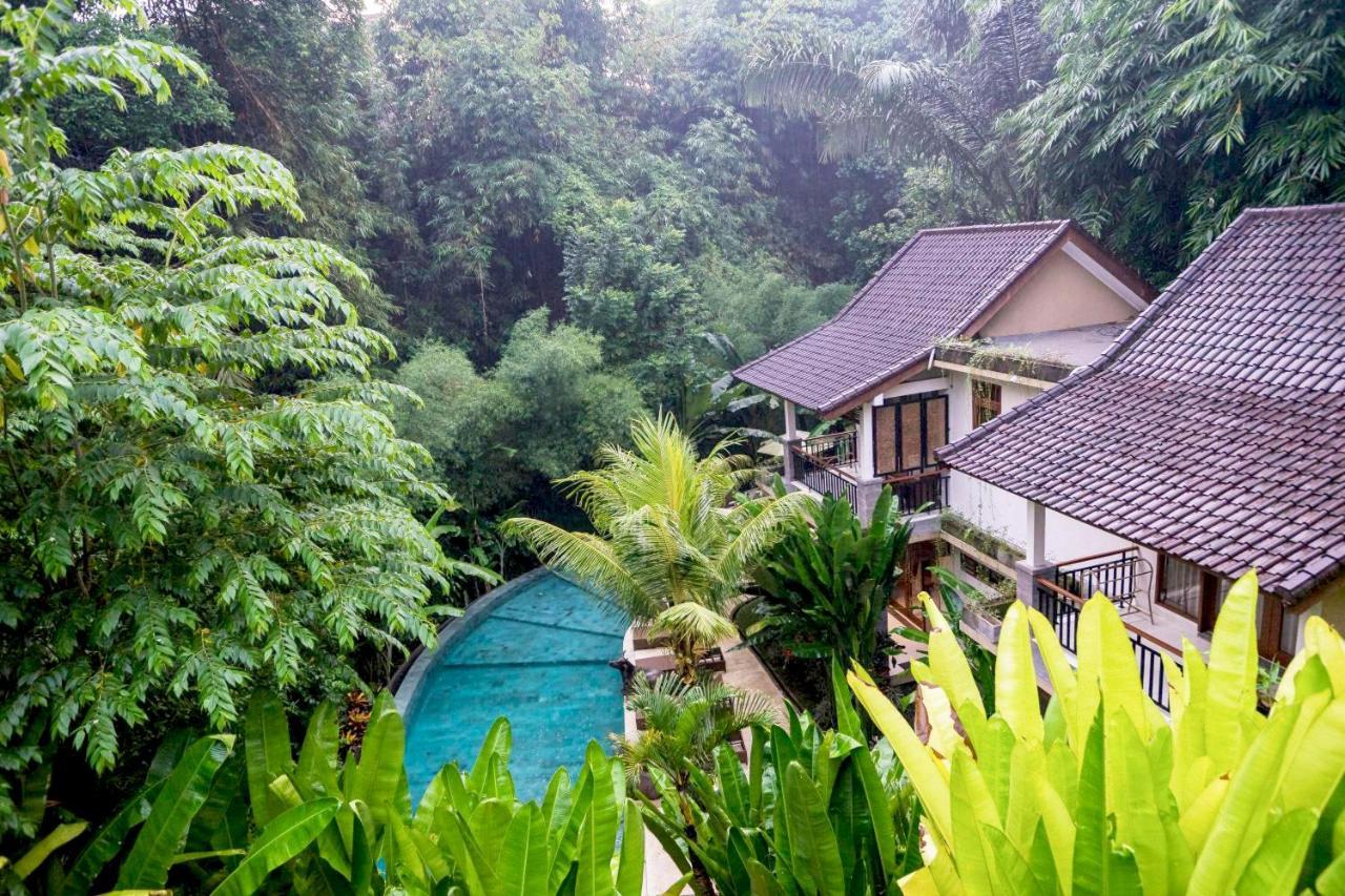 Guest house Jungle Haven