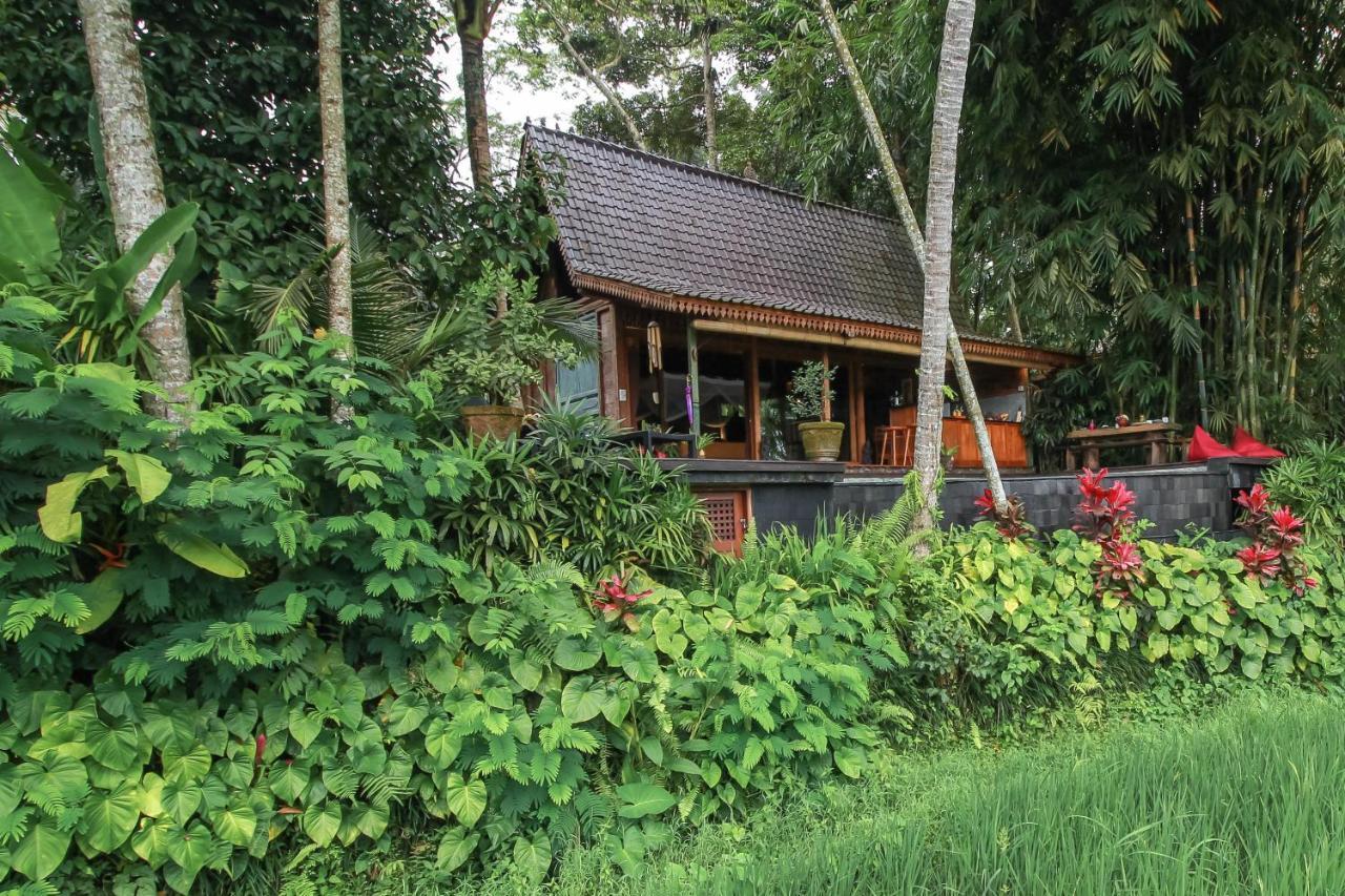 Guest house Masakali Retreat