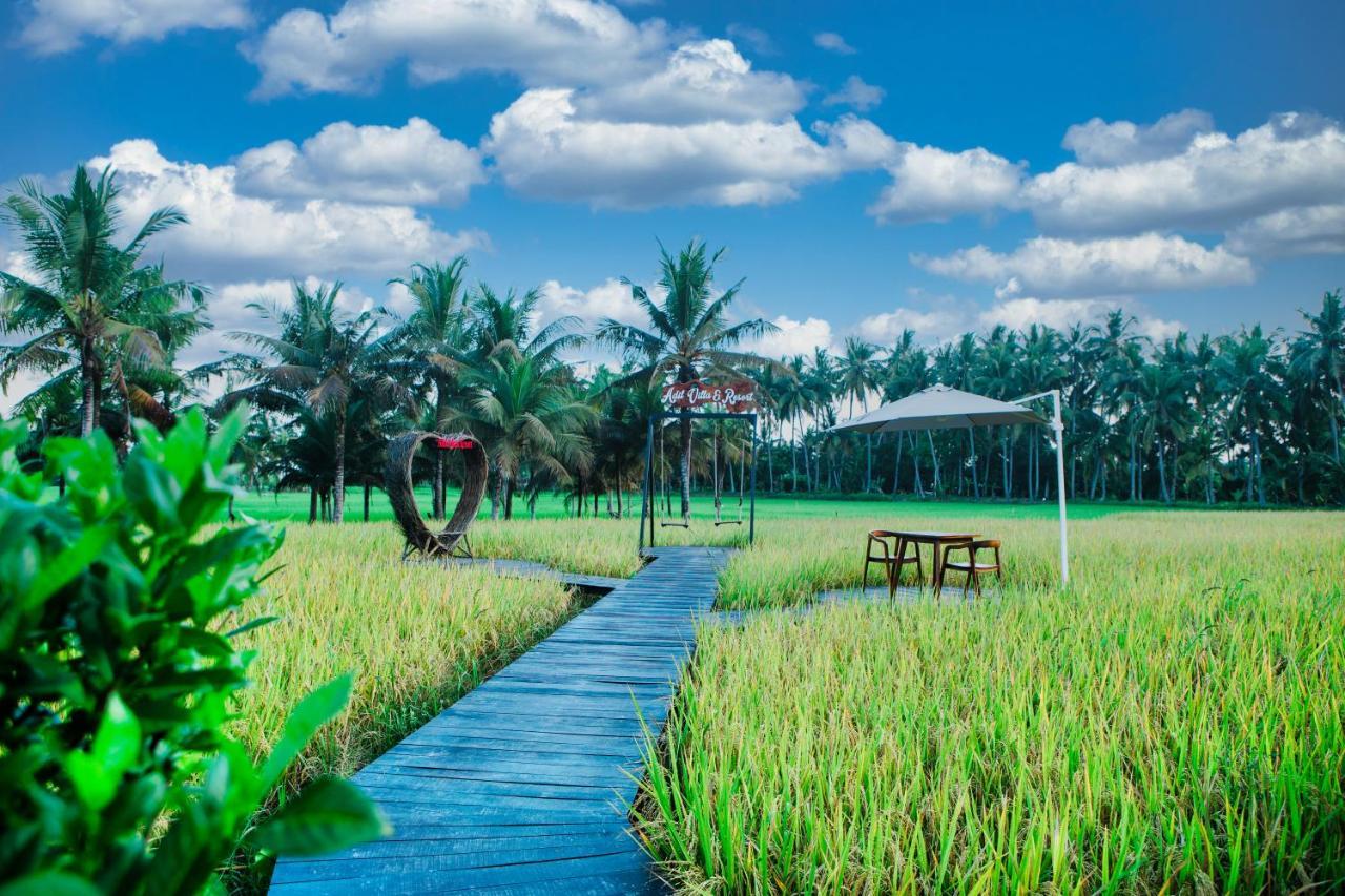 Adil & Ubud (Bali)