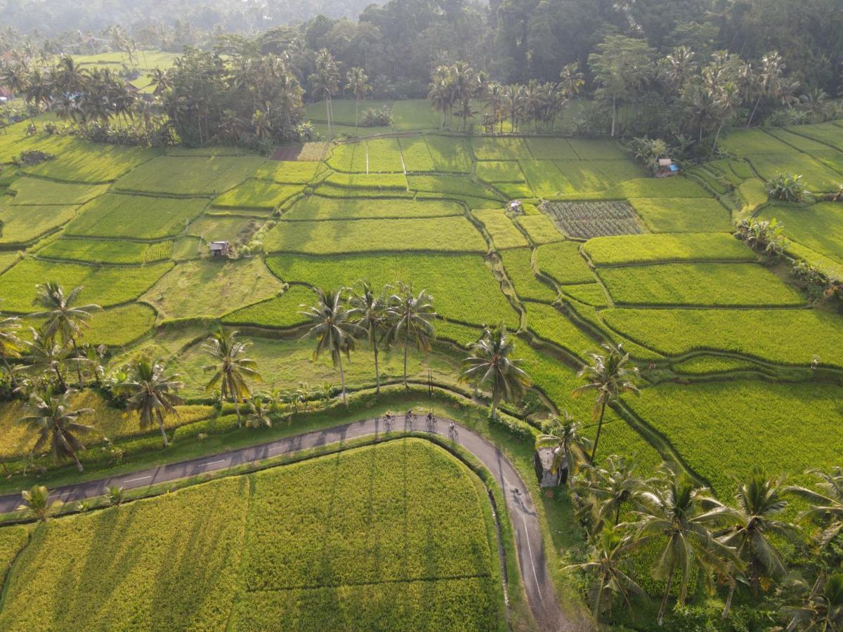 The Sun Of Granary And Resort Ubud (Bali)