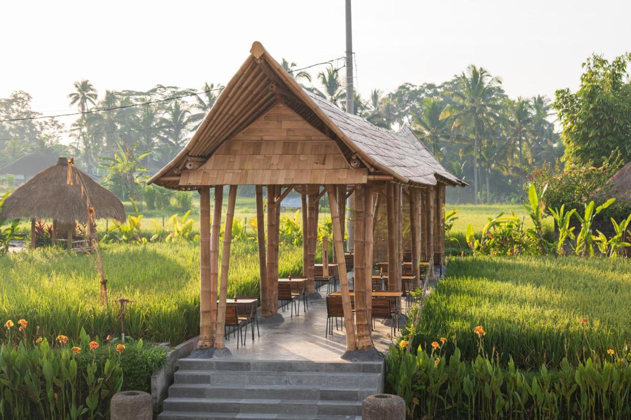 Resort The Sun Of Granary And
