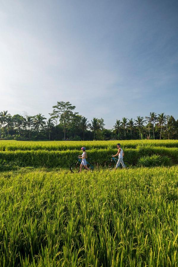 Resort The Sun Of Granary And Ubud (Bali)
